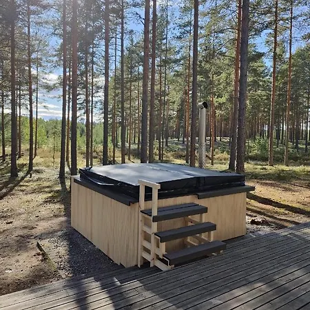 Alex וילה Virttaa